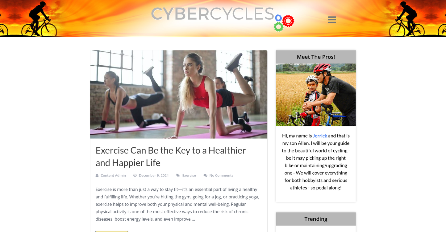 cybercycles.co.uk | DA16 DR14